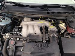 Does someone have pics of these lines?-vacuum-hoses.jpg
