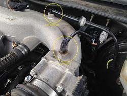 Does someone have pics of these lines?-vacuum-hoses-2.jpg