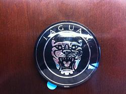 Replace Leaper w/Bonnet Badge Assistance-badge-2.jpg