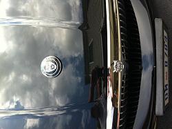 Replace Leaper w/Bonnet Badge Assistance-jag-badge-2.jpg