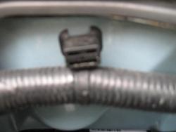 What is this?-img_0148.jpg