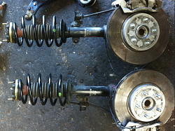 Front Struts-jaguar-struts.png