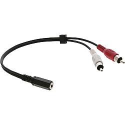 Aux Input-1387774800000_1020469.jpg