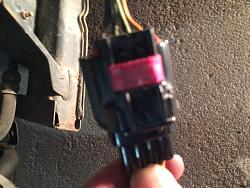 Fog Light Connector-img_0074.jpg