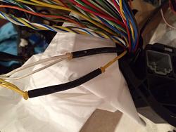Retrofit OEM Amplifier &amp; Speaker Upgrade FAQ-scrap-loom-showing-cas-15-16-right-front-door-tweeters-.jpg