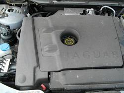 2.0d engine - bump or no bump?-bump-jag.jpg