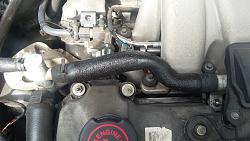 anyone know what these 2 hoses are called so I can price check-hose.jpg