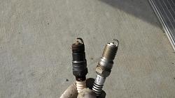 Replace knock sensor and spark plugs project with pics (as requested) HOW TO-pic4_olg_plug_vs_new.jpg