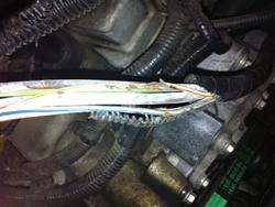 code reader issues-x-type-wires.jpg