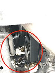 Advice on engine failure V6 2.5 2002-img_0901.jpg