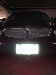 New Upper and Lower Mesh-new-grill-3.jpg