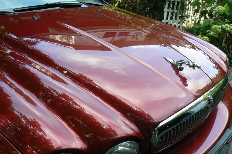 Name:  waxedJaguar014.jpg
Views: 108
Size:  102.0 KB