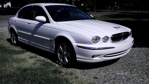 Name:  Jaguar.jpg
Views: 143
Size:  93.1 KB