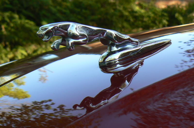 Name:  2004Jag003.jpg
Views: 74
Size:  69.5 KB