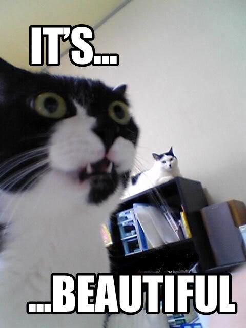 Name:  its-beautiful.jpg
Views: 200
Size:  30.1 KB