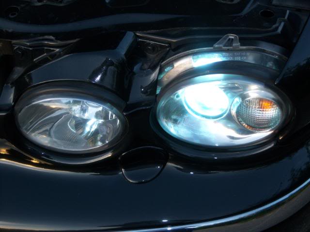 Name:  100_0403-1.jpg
Views: 587
Size:  56.2 KB