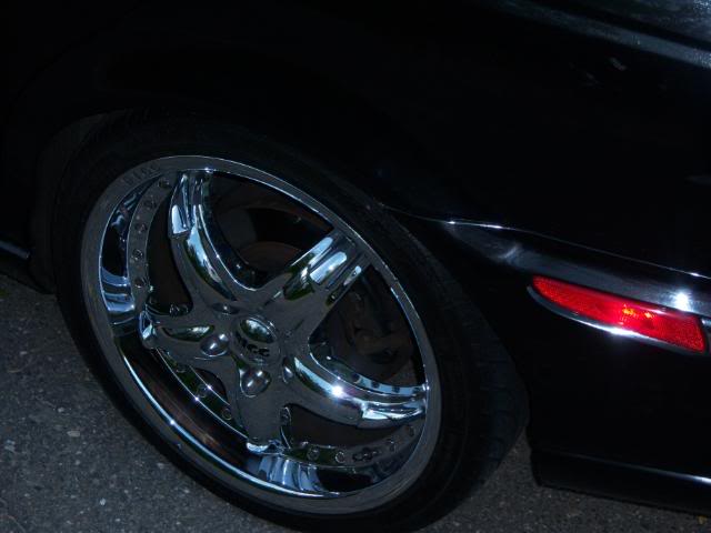 Name:  100_0406-1.jpg
Views: 551
Size:  52.6 KB