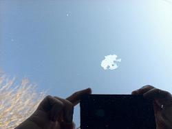 Paint has blemish. Take a look.-paint-issue.jpg