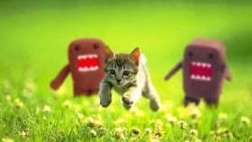 Name:  Kitten.jpg
Views: 254
Size:  8.0 KB