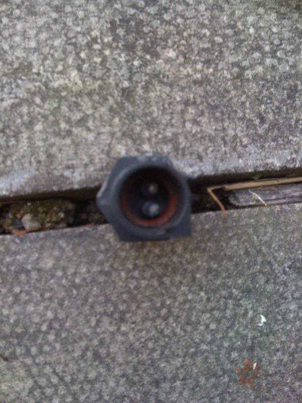 Name:  030.jpg
Views: 6101
Size:  76.1 KB