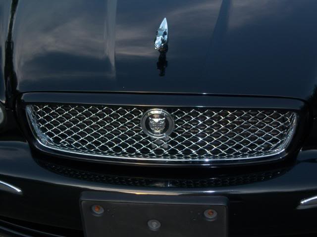 Name:  100_0404-1.jpg
Views: 338
Size:  59.7 KB
