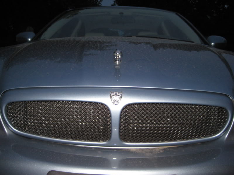 Name:  IMG_0304.jpg
Views: 815
Size:  75.1 KB