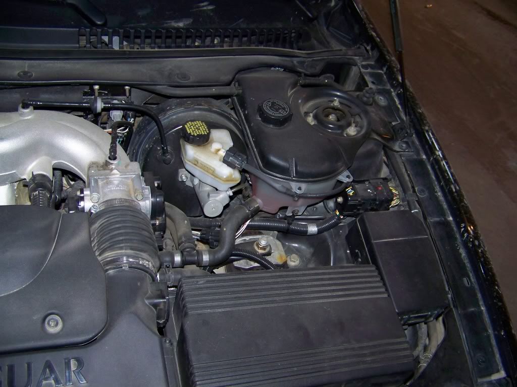 Name: 100_0929.jpg
Views: 54
Size: 126.2 KB