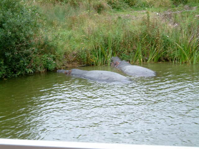 Name:  10488431.jpg
Views: 62
Size:  48.6 KB