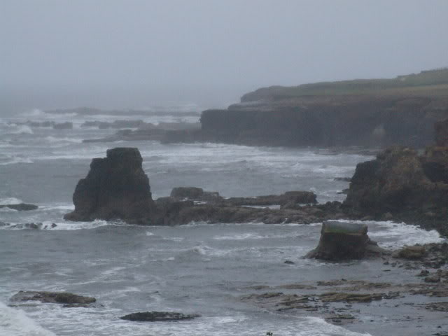 Name:  81a36d81.jpg
Views: 21
Size:  31.7 KB