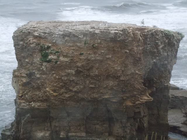 Name:  6717e1de.jpg
Views: 22
Size:  54.3 KB