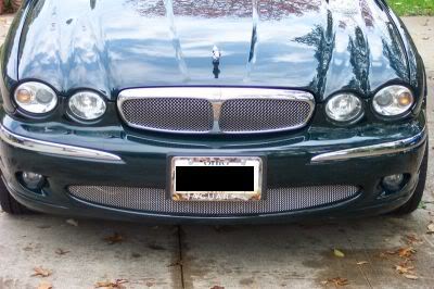 Name:  bothgrilles.jpg
Views: 68
Size:  28.3 KB