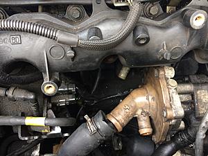 Coolant leaks-img_2044.jpg