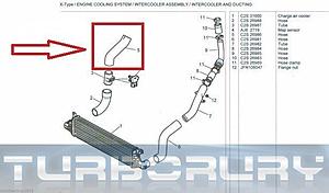 Turbo hose-turbo-hoses.jpg