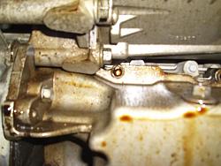 long awaited pics..-fzr-027.jpg
