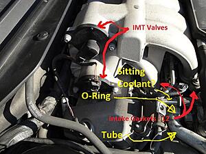 Coolant Leak @ O-Ring?-hpjniev.jpg
