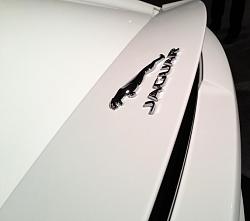 Jaguar Alive Driving Experience-f-type-3.jpg