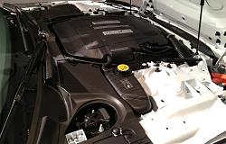 Jaguar Alive Driving Experience-f-type-4.jpg