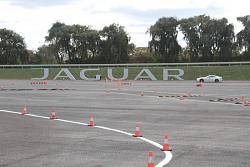 Jaguar Alive Driving Experience-jaguar_sign_0_60_run.jpg