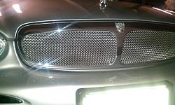 Mesh Grills (Mina Alternatives) ??-x-grill-2.jpg