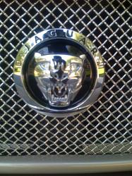 Need the 2008/2009 Grille for a 2002 model X-Type-img_1268.jpg