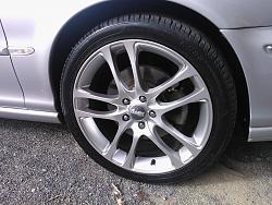 Finally got myself a Jag-wp000770.jpg