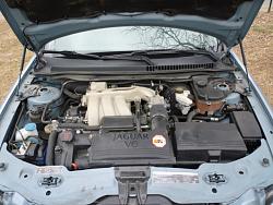Rear Shocks and Bearings-under-bonnet.jpg