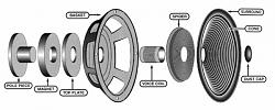 2005 X-Type 2.5 Base Model - Parts Express Car Audio Installation-speakerassy.jpg