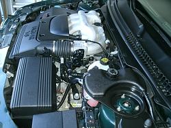 Coolant leak-gedc1362.jpg