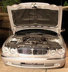Mouse chewed up my underhood liner - my replacement-1.jpg