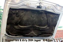 Mouse chewed up my underhood liner - my replacement-2.jpg