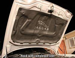Mouse chewed up my underhood liner - my replacement-11.jpg