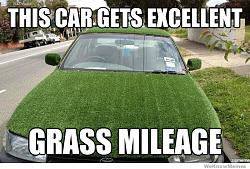 Plastidip my car?-car-gets-excellent-grass-mileage.jpg