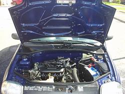 Engine Compartment Cleaning?-p1010020.jpg