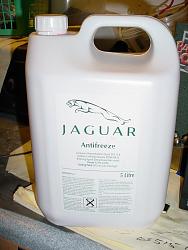 What kind of coolant are you using in your X-Type?-mvc-005f_zps4e6c7412.jpg